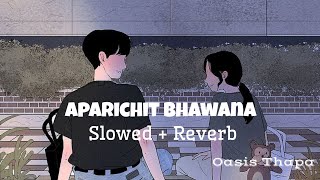 Aparichit Bhawana Slowed  Reverb  Oasis Thapa [upl. by Krenek623]