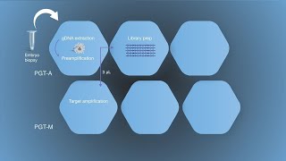 Combined Preimplantation Genetic Testing Workflow [upl. by Violetta]