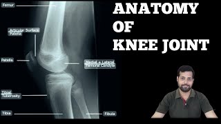 KNEE JOINT ANATOMY [upl. by Jodi]