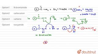 The intermediates which are involved in the conversion from benzamide to A are   CLASS 12 [upl. by Ahsienak489]