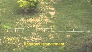 Vegetation sampling using transects and plots [upl. by Naras302]