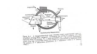 Biogeochemical cycles Lecture 2 [upl. by Derward]