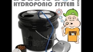 Hydroponics Made Simple  BubbleBoy DWC System for Beginners  Easy Garden [upl. by Castara207]