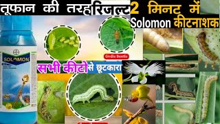 Solomon insecticideBayer Solomon insecticideBetaCyfluthrin  ImidaclopridSolomoninsecticidekheti [upl. by Gusba]