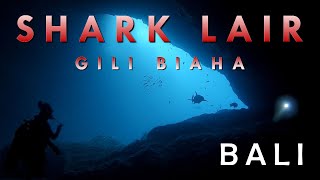 Shark Cave at Gili Biaha Scuba Diving Bali [upl. by Jeffie]