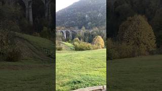 Manastir Ćelije priroda nature monastery монастырь serbia manastirćelije viral trending [upl. by Eatnoj]