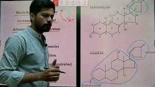 Digoxin Mechanism I Cardiac glycoside I MHSRB Pharmacist I Telangana Pharmacist I [upl. by Lynd182]