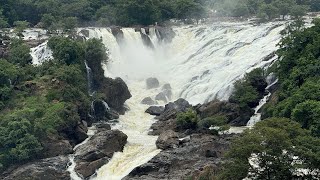 Shivanasamudra Waterfall  Bharachukki Waterfalls  2024 [upl. by Felicle899]