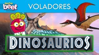 🦕 DINOSAURIOS VOLADORES PARA NIÑOS EN ESPAÑOL Familia [upl. by Nairim968]