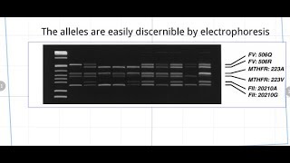 What is the applications of Mutagenically separated PCR MSPCR [upl. by Doi]