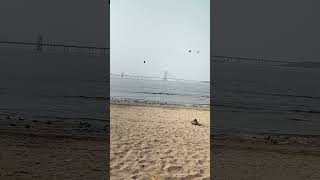 Bandra Worli Sea Link View From Dadar Choupaty shorts [upl. by Notwal]