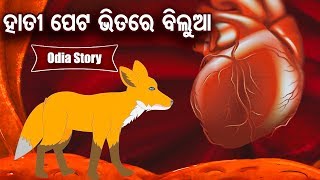 Hati Peta Bhitare Bilua ହାତୀ ପେଟ ଭିତରେ ବିଲୁଆ Odia Moral Stories  Sidharth TV [upl. by Rosenwald]