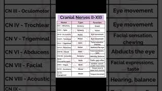 12 Cranial Nerves [upl. by Ettenirt]