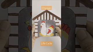 Life cycle of Chicken  Easy activity for kids youtubeshorts children papercraft craftchutney2 [upl. by Moneta]