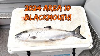 We caught winter blackmouth in Area 10 [upl. by Ikciv]