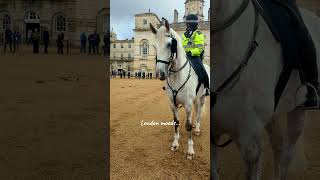 Heartwarming Moment Officer and Her Steed 🐴 london travel royalguard 🇬🇧 [upl. by Navets933]