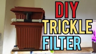 DIY overhead Filter  Trickle filter [upl. by Ahsitram]