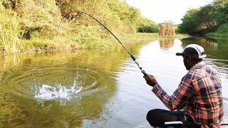 incredible Fish Hunting 🎣 Big Baam Indian Eel Fishing 🐍 and Catching Mancing Fishing Fisher Man [upl. by Thamos63]