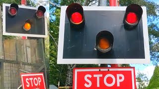 Miniature Trains at Trago Mills Level Crossing Devon Compilation [upl. by Dnamron]