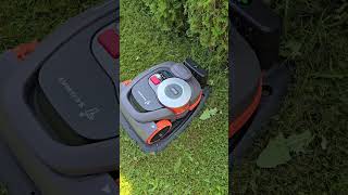 Epizodas 2  vejos paruošimas prieš perimetrą Segway Navimow H3000EVF [upl. by Eiramannod]