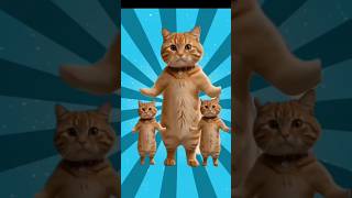 😾Funny Cat Dance 😻 catlover pets cutecat cat catdance [upl. by Estel]