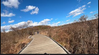 Neabsco Creek Boardwalk Woodbridge VA budget day outing younger kids [upl. by Regan]