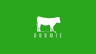 Dormie Workshop Intro [upl. by Guillaume]