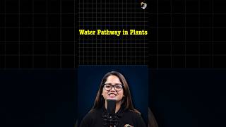 Water Pathway in Plants IGCSE Biology 🌱 PW IGCSE Biology [upl. by Erkan143]