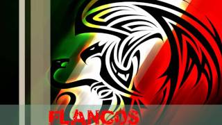 FLANCOS [upl. by Einafets376]