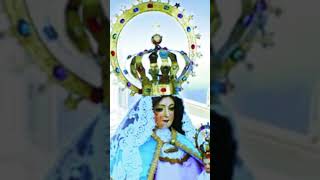 2do Misterio de dolor La Flagelación de JesúsMes del Rosario día 19 mesdelrosario santorosario [upl. by Adamis760]