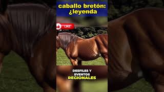 Descubre los secretos del caballo bretón ¿leyenda o realidad caballos horse curiosidades [upl. by Nallak579]