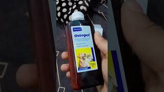 Oestapet syrup for dogs youtubeshorts doglover labradorretreiver labradorretriever viralvideo [upl. by Nael]