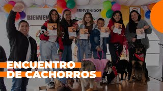 ENCUENTRO DE CACHORROS 2024 🐶🧡 [upl. by Cahan]