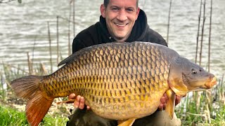 Coking Farm Oak Lake HUGE COMMON CARP CAUGHT [upl. by Abih285]