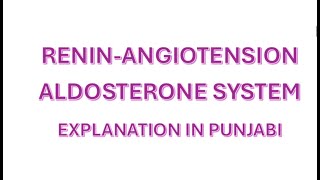 RENINANGIOTENSIN ALDOSTERONE SYSTEM NCLEX rn rpn nurse [upl. by Jeana]