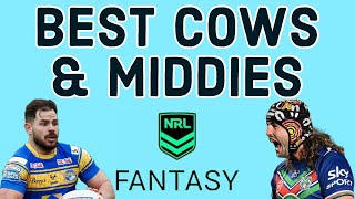 43 NRL Fantasy Players To Target In 2024 [upl. by Cyndy]