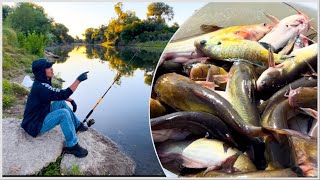 Catch Clean and Cook shorts youtubeshorts youtube fishing khmer life outdoors [upl. by Seuqcaj]