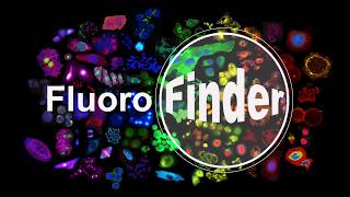 Introduction to FluoroFinder [upl. by Anividul544]