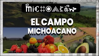 El Campo Michoacano  Capítulo 19  200 años de Michoacán origen y futuro  SMRTV [upl. by Jethro]