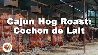 Cajun Hog Roast Cochon de Lait Festival [upl. by Kali500]