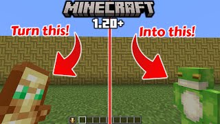 How to change totems to your own skin  1213 Minecraft [upl. by Aretta198]