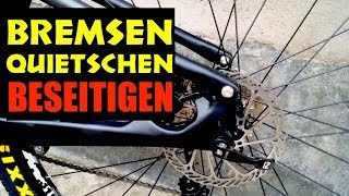 Quietschen der Fahrradbremsen beseitigen  So gehts in 5 Minuten [upl. by Auqenwahs]