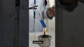 Chemistry Class 12 CBSE practicalquotpresence of aldehydequot chemistrypracticals cbsesyllabus ytshorts [upl. by Oliver]