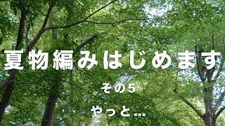 『かぎ針編み』夏物を編み始めます！〜ロングカーディガン〜その５＜後ろ身頃を編む＞ [upl. by Barri496]