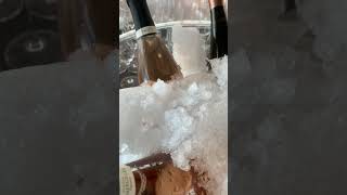 PartyChampagnerSektbier [upl. by Nebeur]