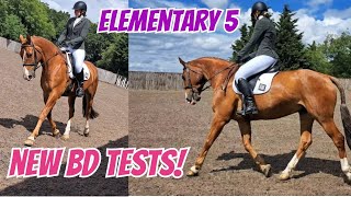 Elementary 5  New British Dressage Tests [upl. by Nyvets]