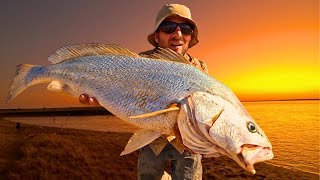 Unexpected Catch Mulloway Black Jewfish While Fishing for Barramundi [upl. by Ybrad241]