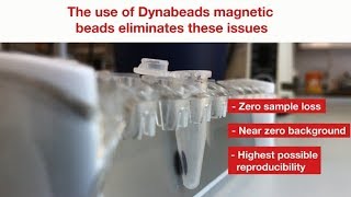 Immunoprecipitation How to Avoid Background and Increase Reproducibility [upl. by Cheatham]