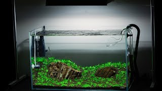 Aquarium  Simply Designed  Green Valley [upl. by Oilla]