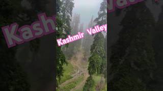 Chal Chaiya Chaiya  Kashmir  kashmir mountains sonmarg beauty nature views status [upl. by Vallie414]